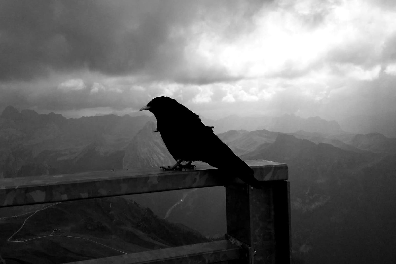 As The Crow Flies